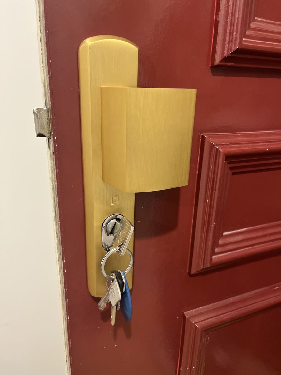 Secure handle plate installed — panelled entrance door